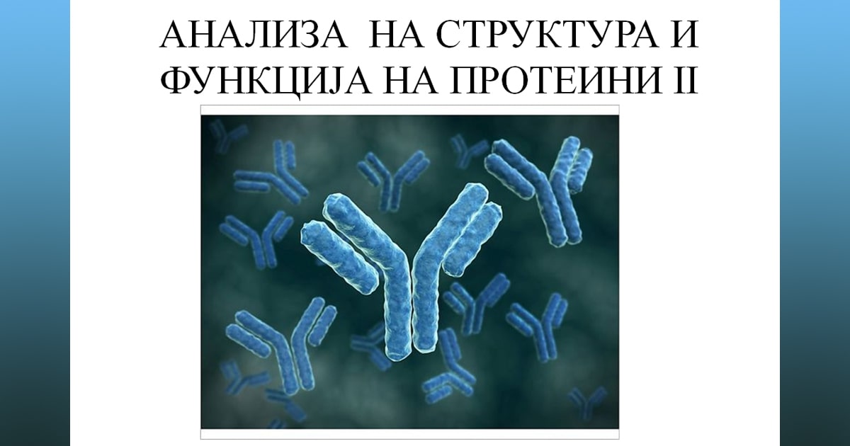Анализа на структура и функција на протеини-2