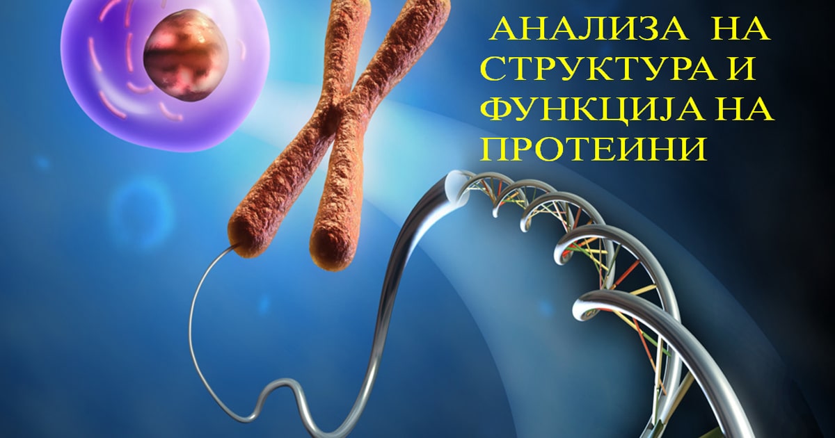 Анализа на структура и функција на протеини