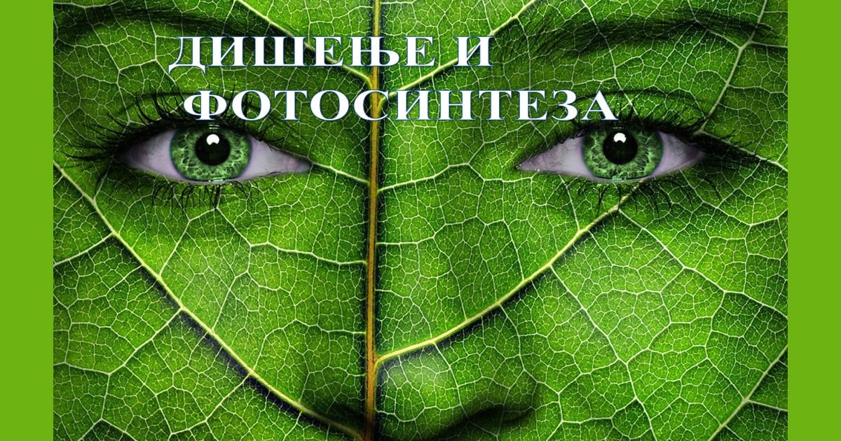 Дишење и фотосинтеза