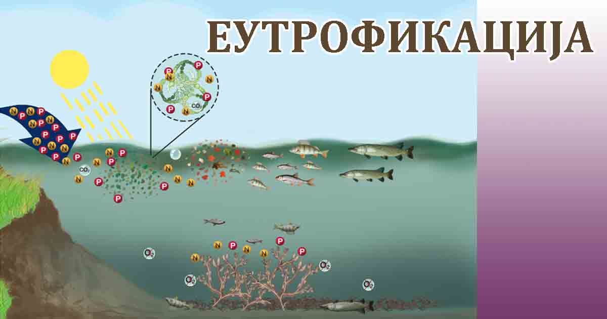 Еутрофикација