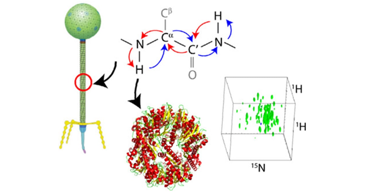 NMR Определување на структура на молекули - втор дел