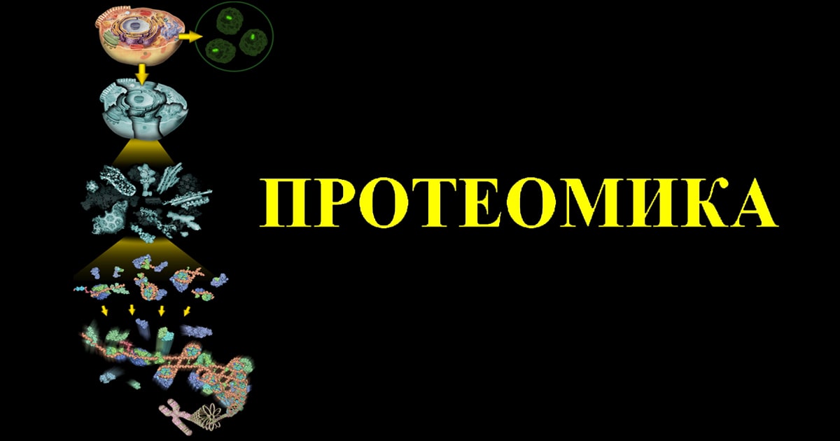 Протеомика