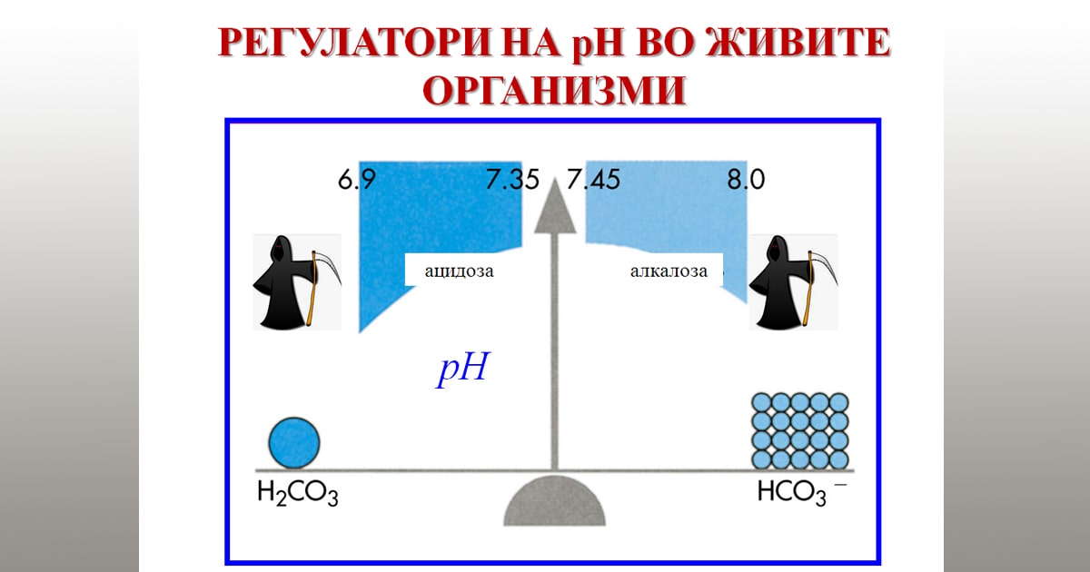 Регулатори на pH во живи организми