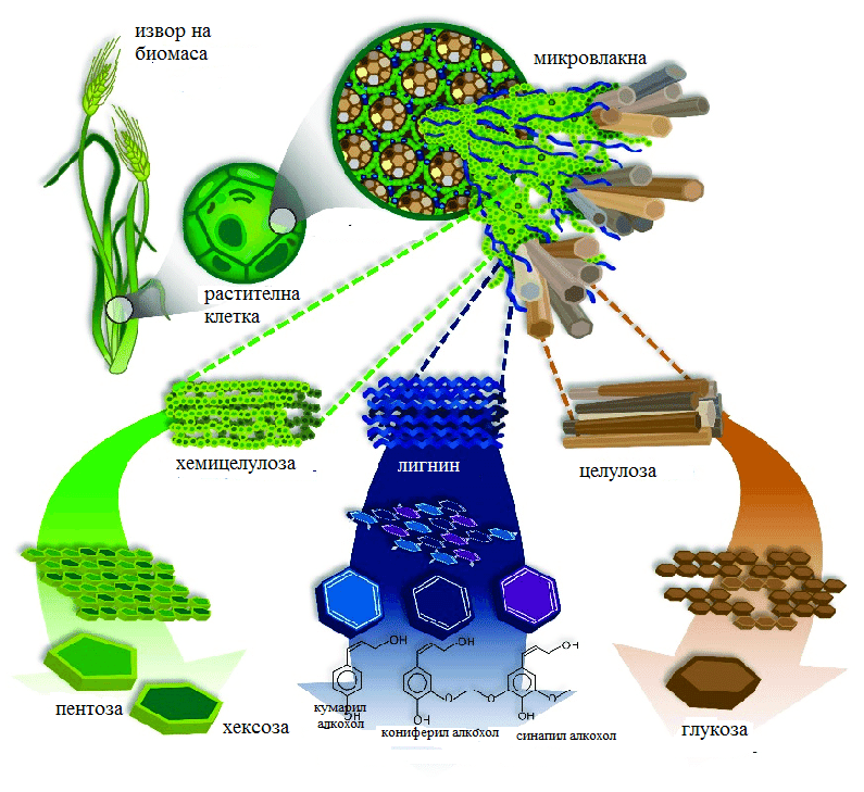 bio eko