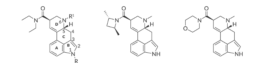 lsd2