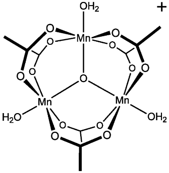magneti