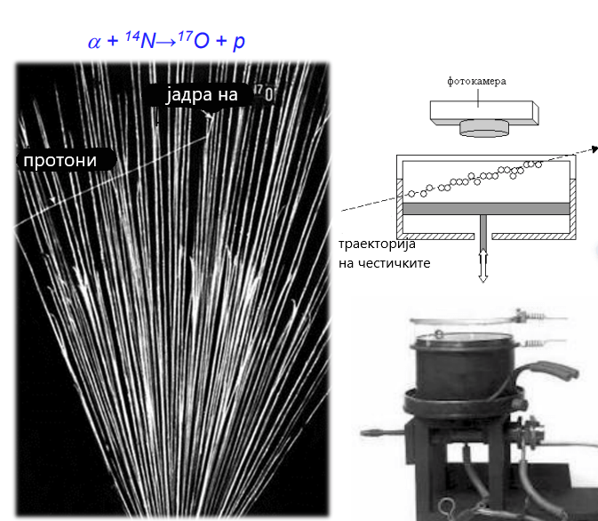 protonot- posledna