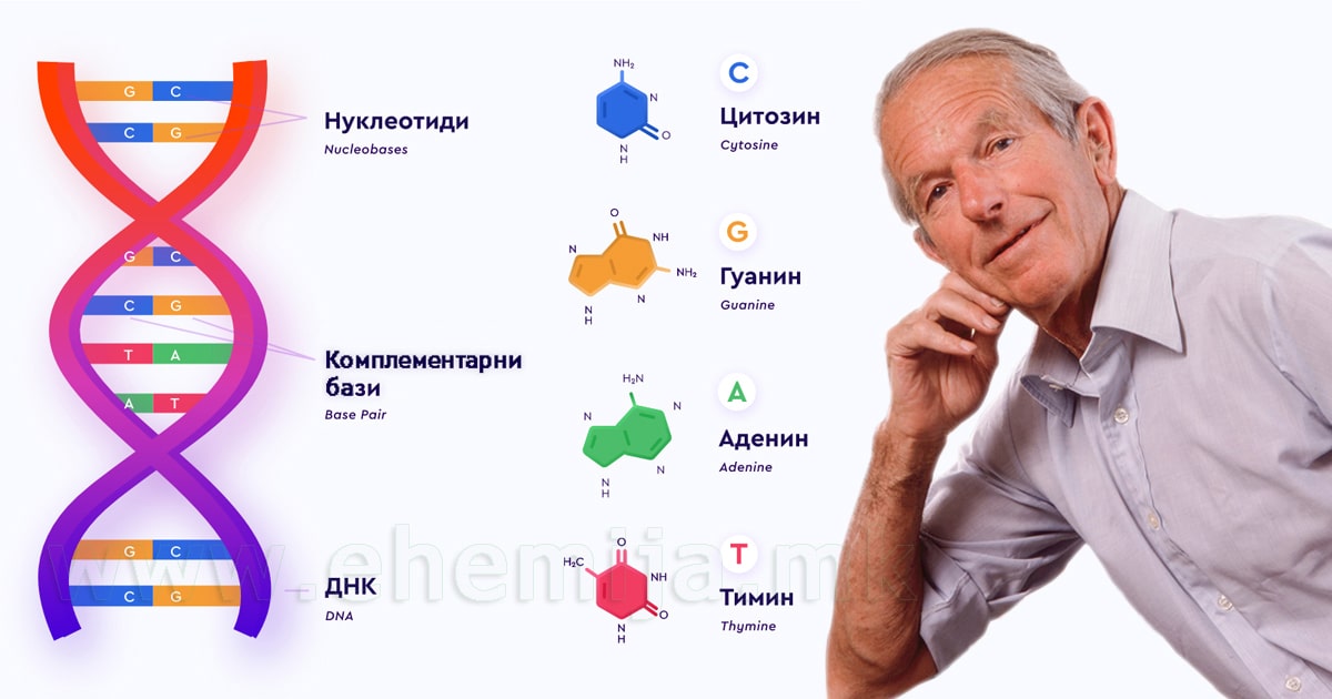 Фредерик Сангер